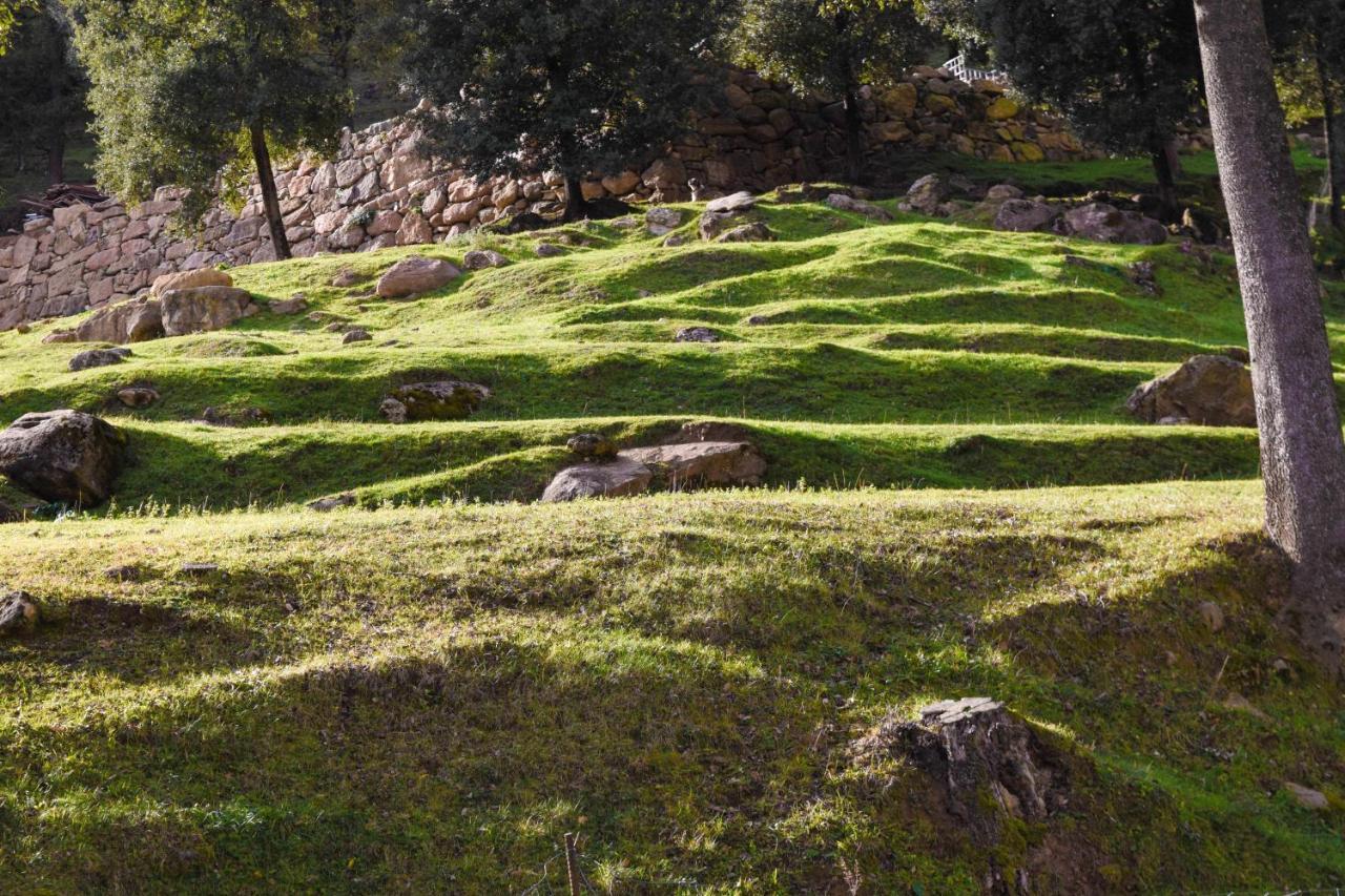 La Cabanya De La Rovira - Dalt Casa vacanze